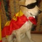 animando a la roja!